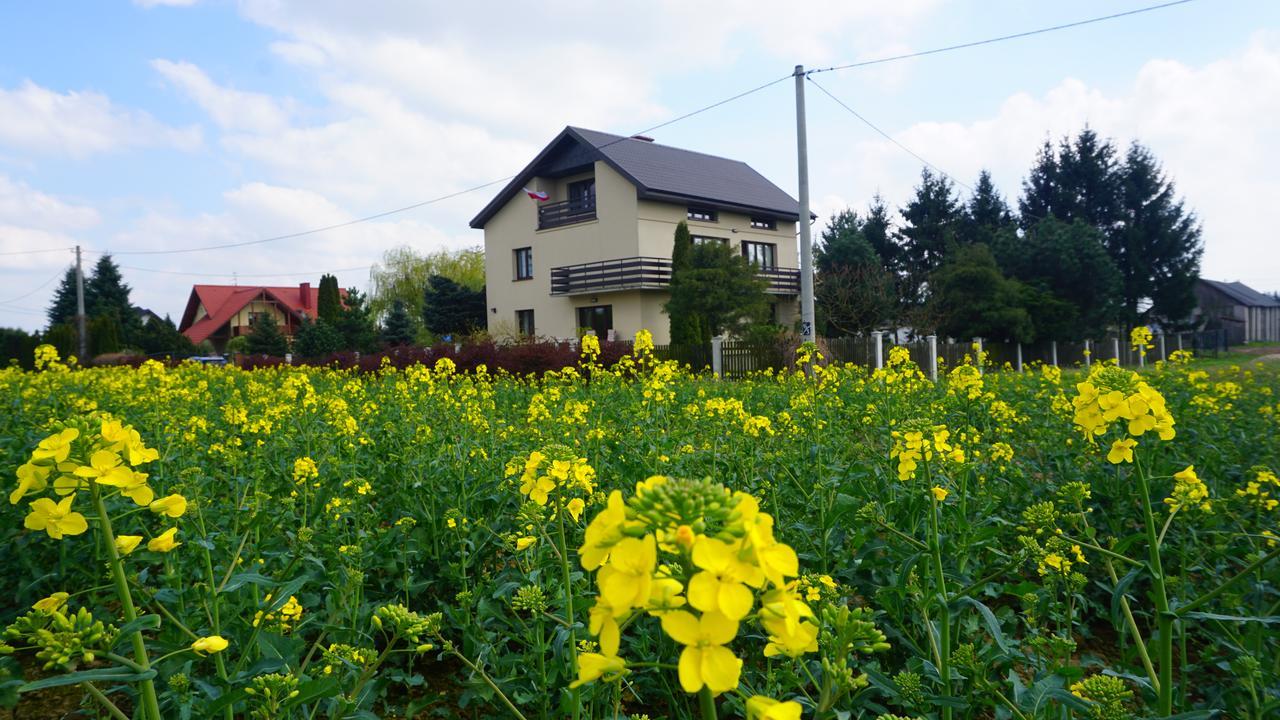 Swierkowy Naleczow Bagian luar foto